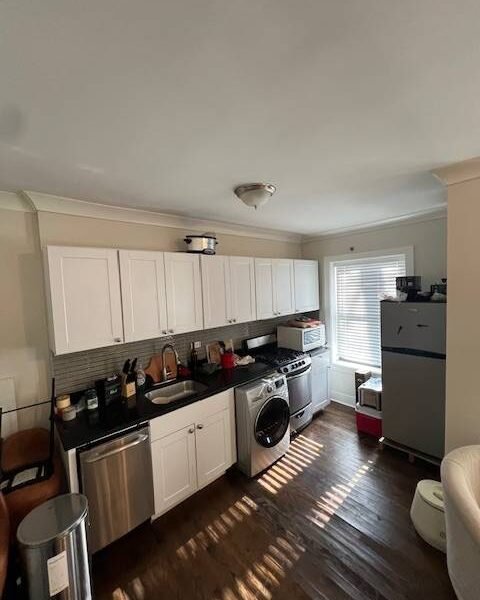 REMODELED Lincoln Park 1bd!