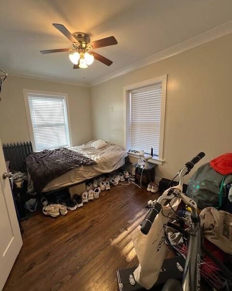 REMODELED Lincoln Park 1bd!